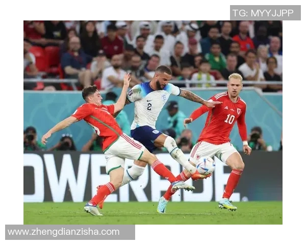 橄榄球世界杯精彩对决威尔士挑战南非争夺荣耀之战