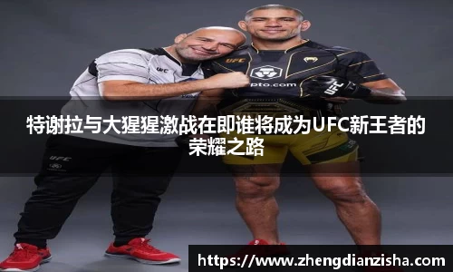 南宫NG28登录